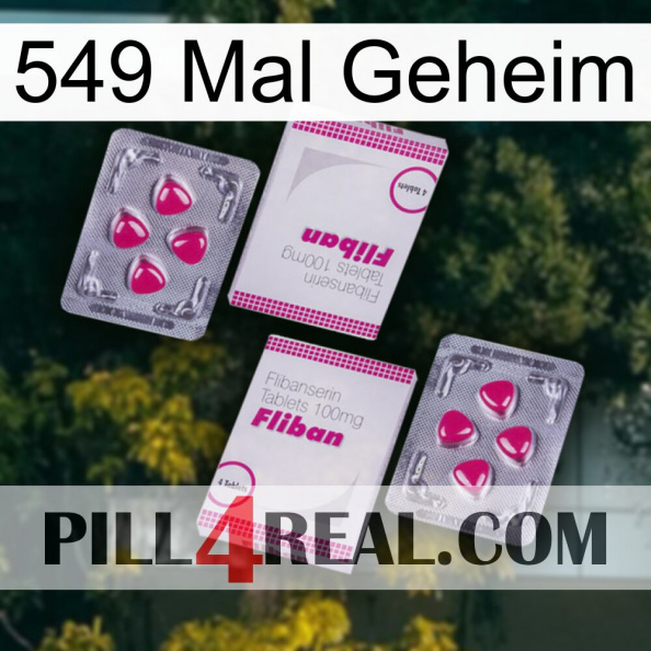 549 Times Secret 33